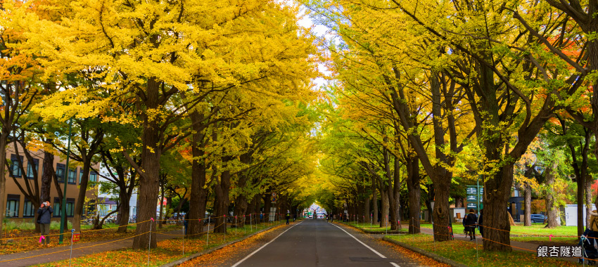 北海道大學